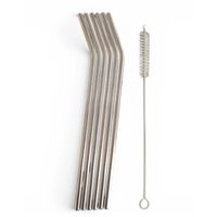 The Guru's Hut Stainless Steel Straws